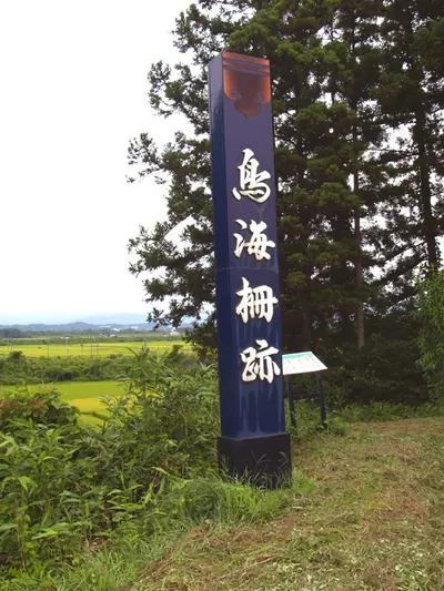 Tonomi Palisade