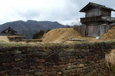 Torigoe Castle