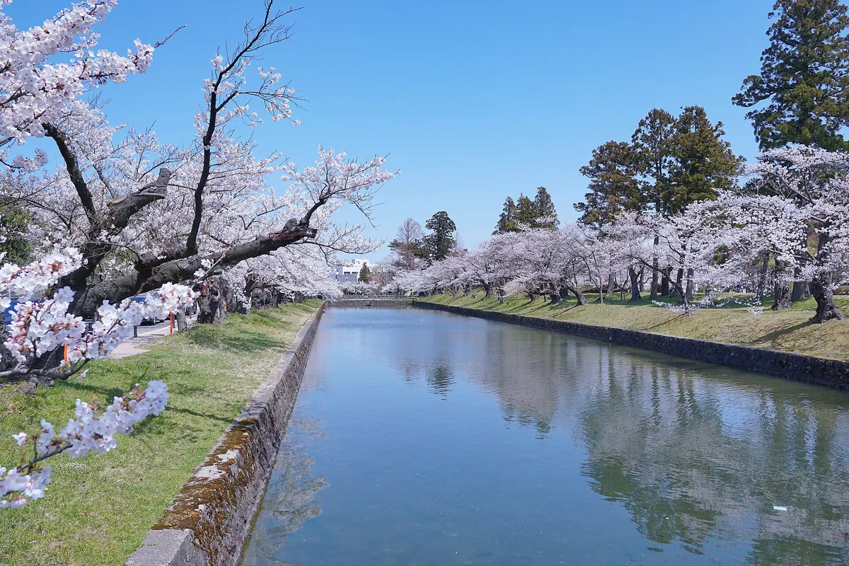 Tsurugaoka Castle