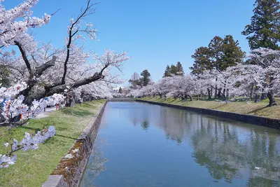 Tsurugaoka Castle