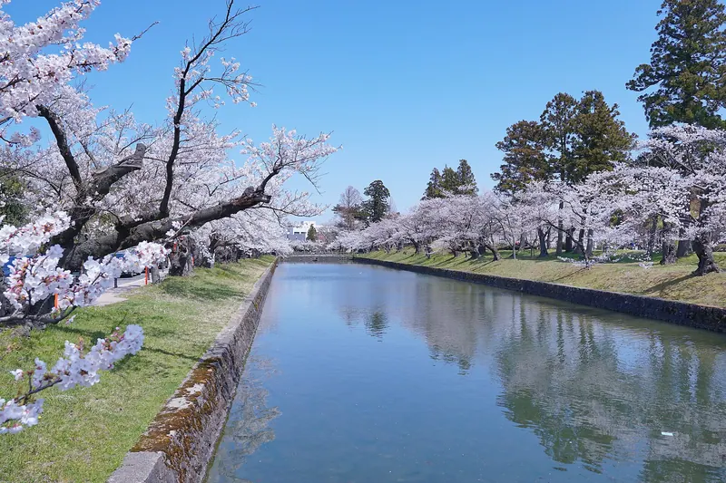 Tsurugaoka Castle