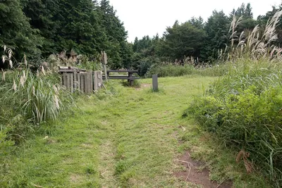 Mount Takanosu