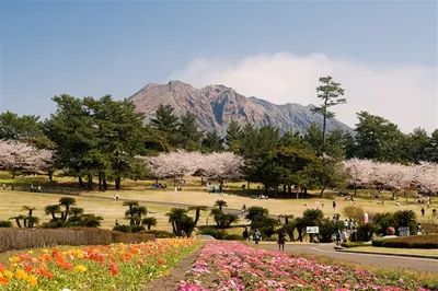 Kagoshima Prefectural Yoshino Park