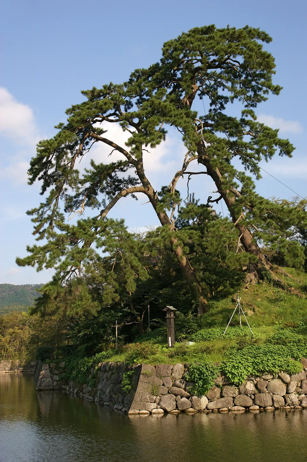 Shikano Castle