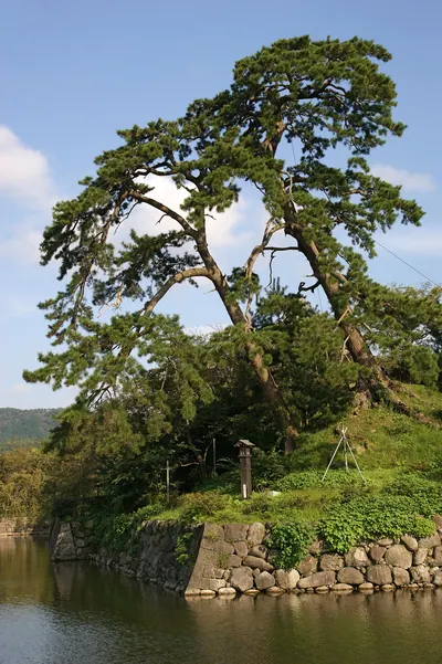 Shikano Castle