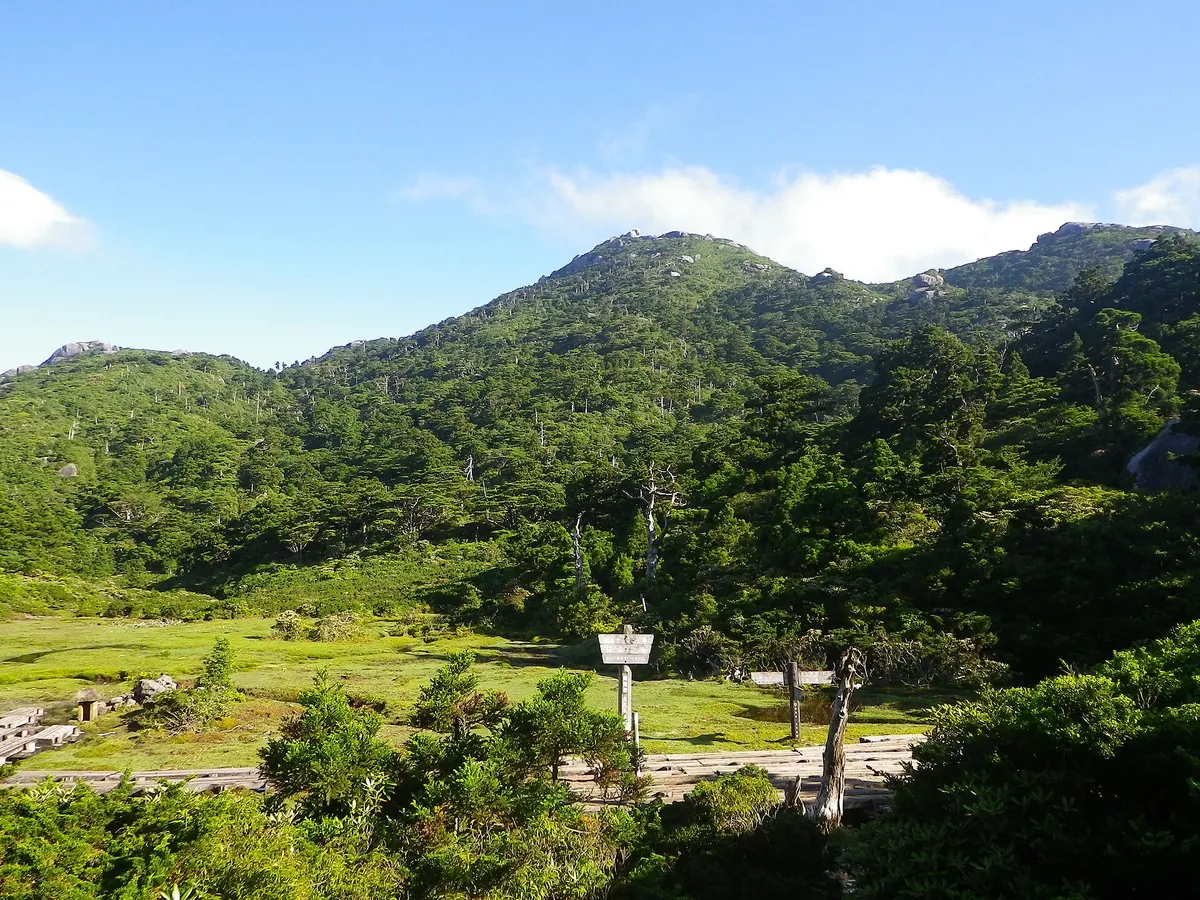 Mount Kuromi