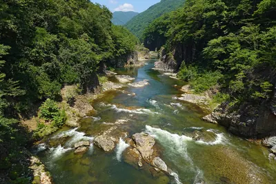 Ryūōkyō