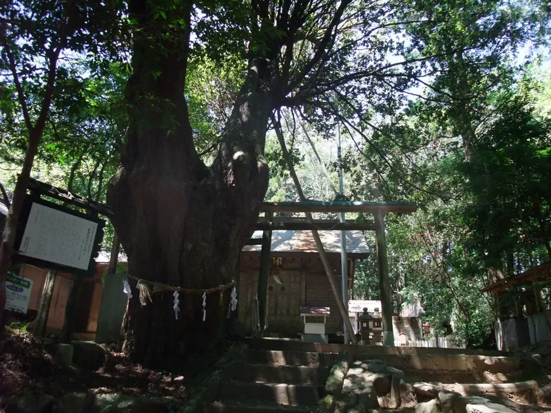 Ryūzengū