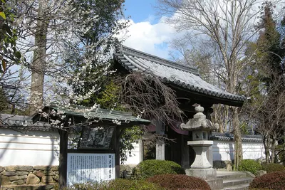 Ryūfuku-ji Temple (Yamaguchi)