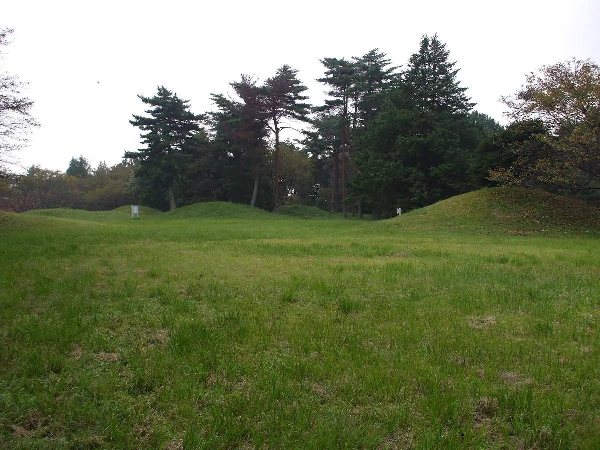 Ryūgakuji Kofun Cluster