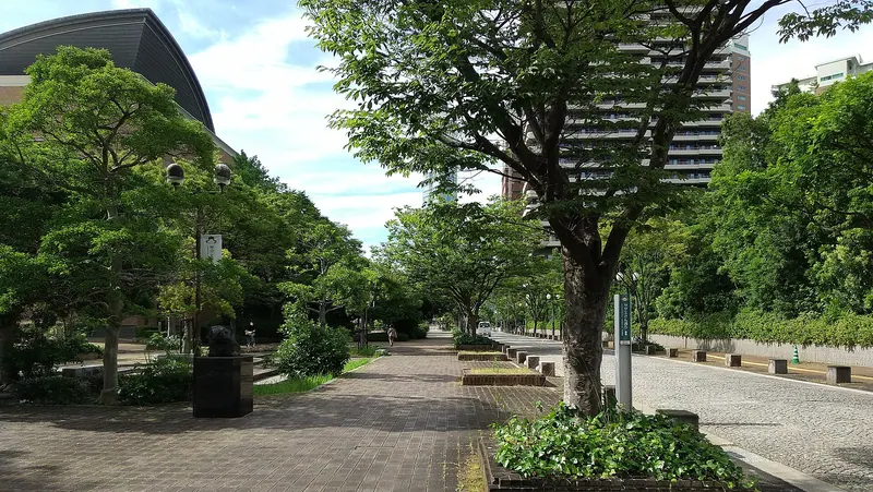 Momochi 1st Pedestrian Path