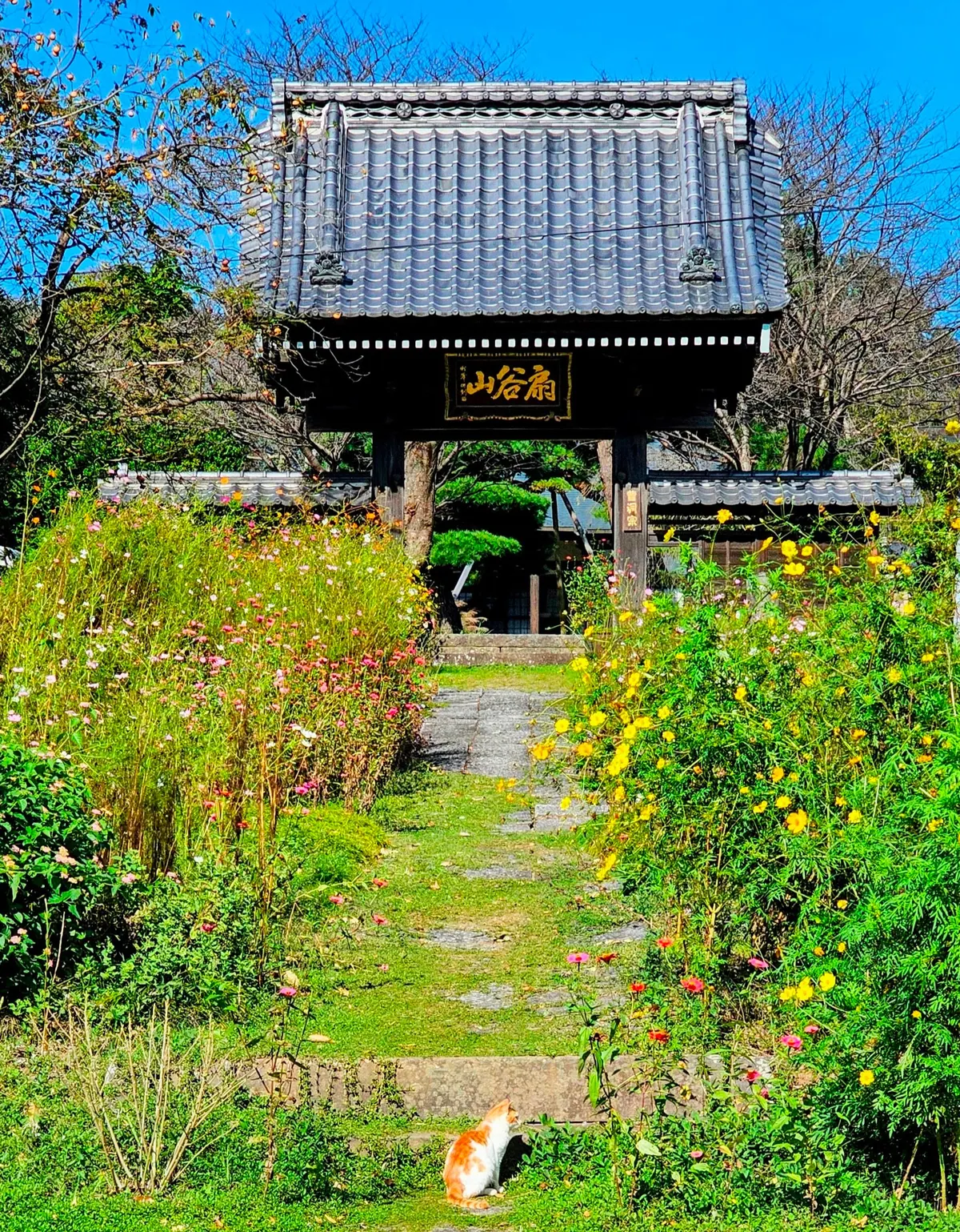 Sōgo-ji Temple