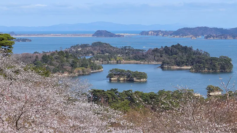Saigyo Modoshi no Matsu Park