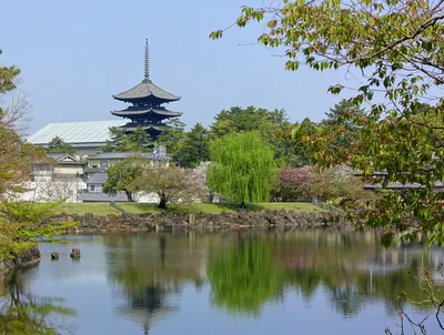 Nara Park