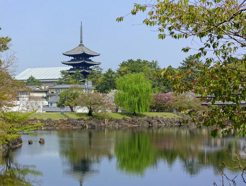 Nara Park