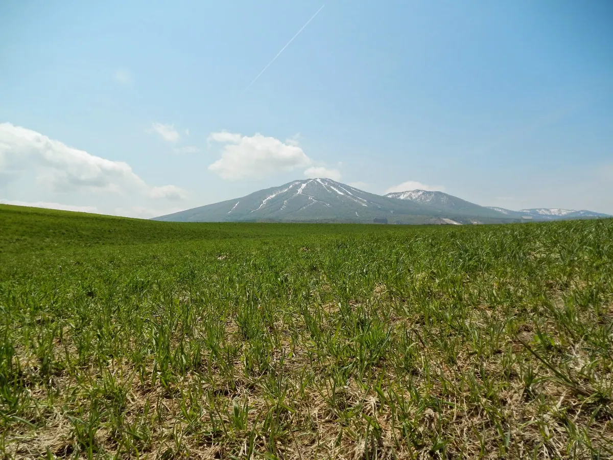 Mount Maemori