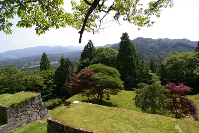 Iwamura Castle