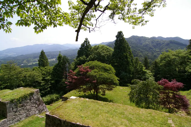 Iwamura Castle