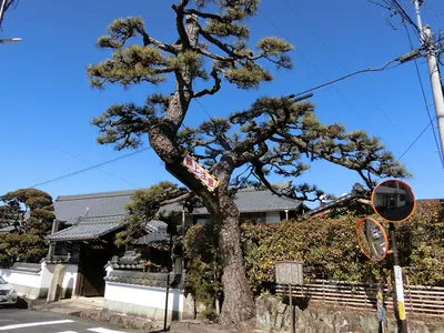 Zenshō-ji Temple
