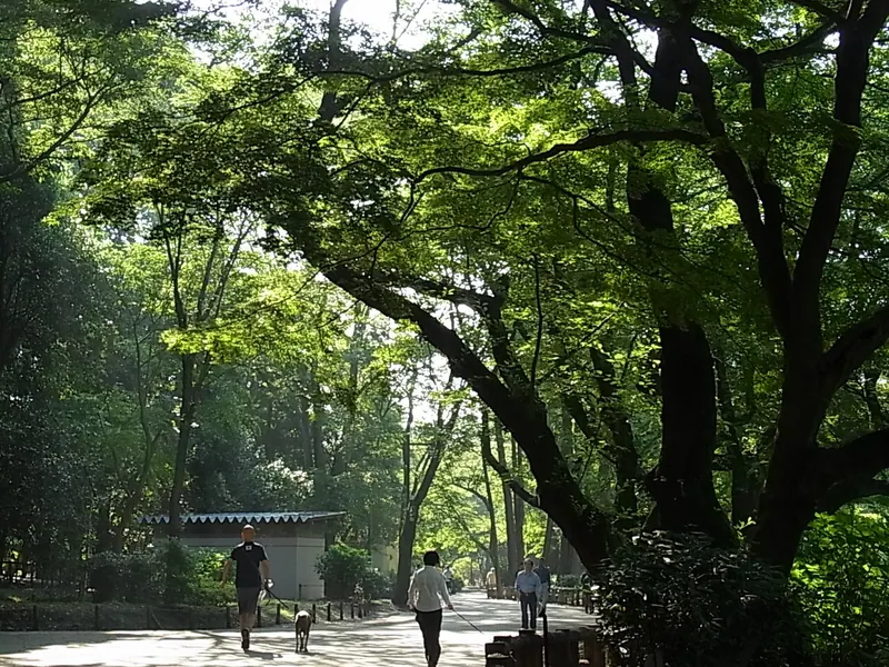 Inokashira Park