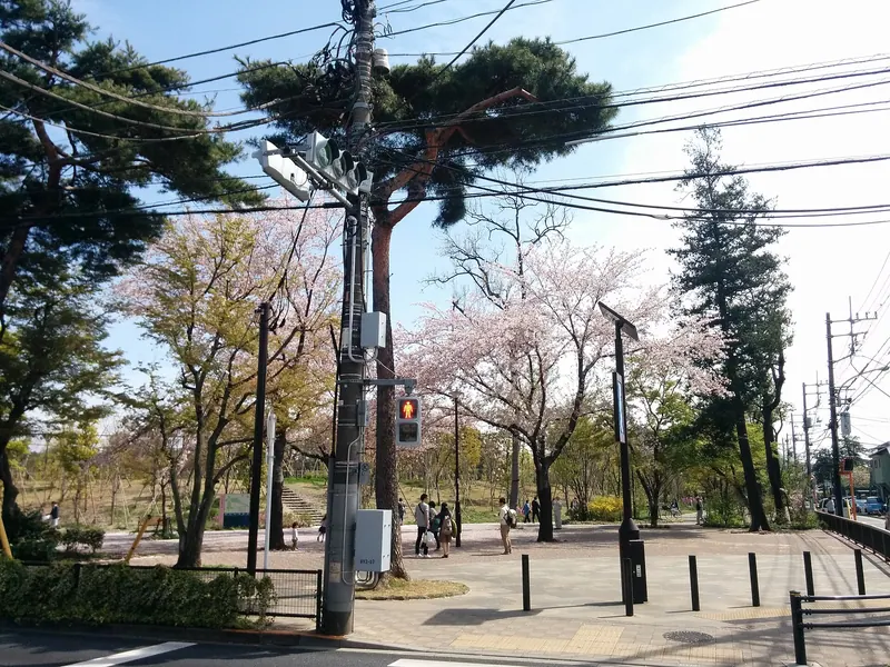 Inokashira Park
