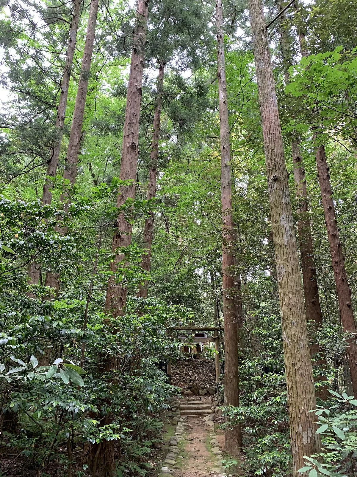 Bō Shrine