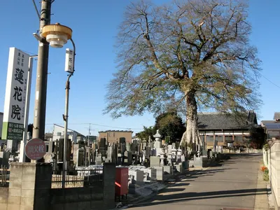 Renge-in Temple