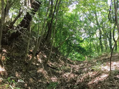 Nishikata Castle