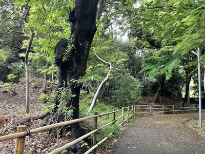 Guhōji kofun