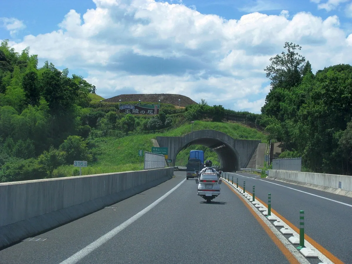 Arashima Kofun Cluster