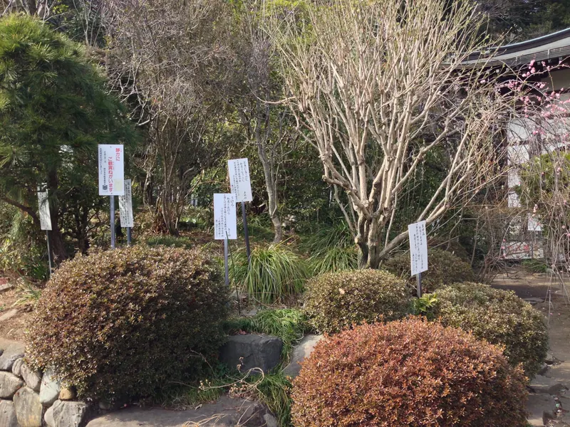 Musashi Kokubunji Man'yō Garden