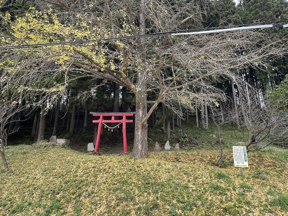 Kashima Shrine