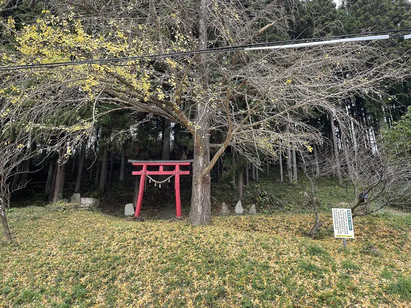 Kashima Shrine