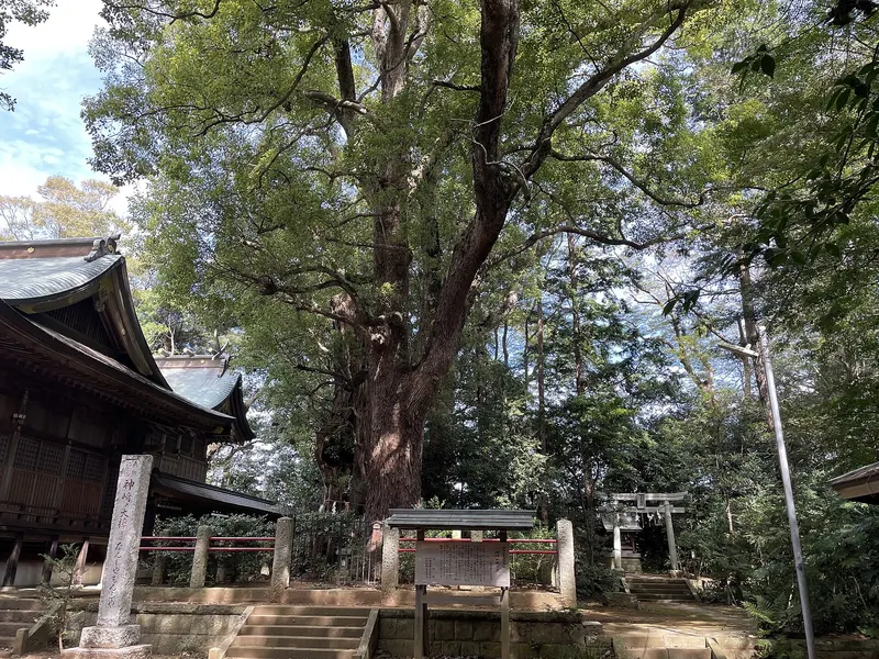 Kozaki no Okusu
