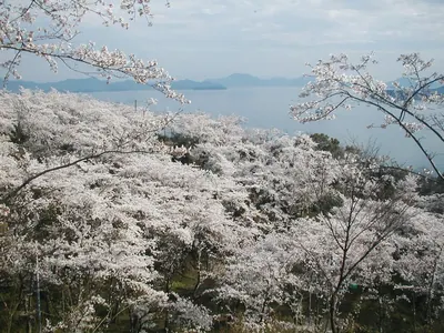 Shōfukuji Park