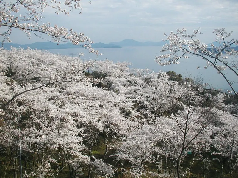 Shōfukuji Park