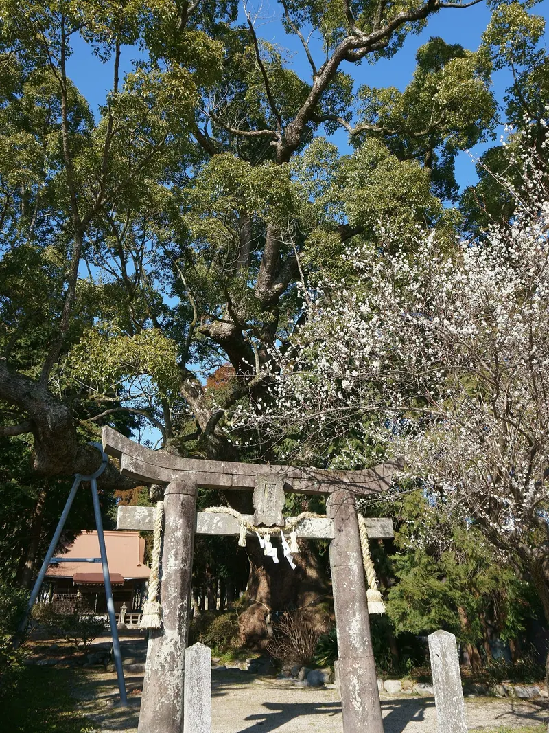 Oshitori Shrine