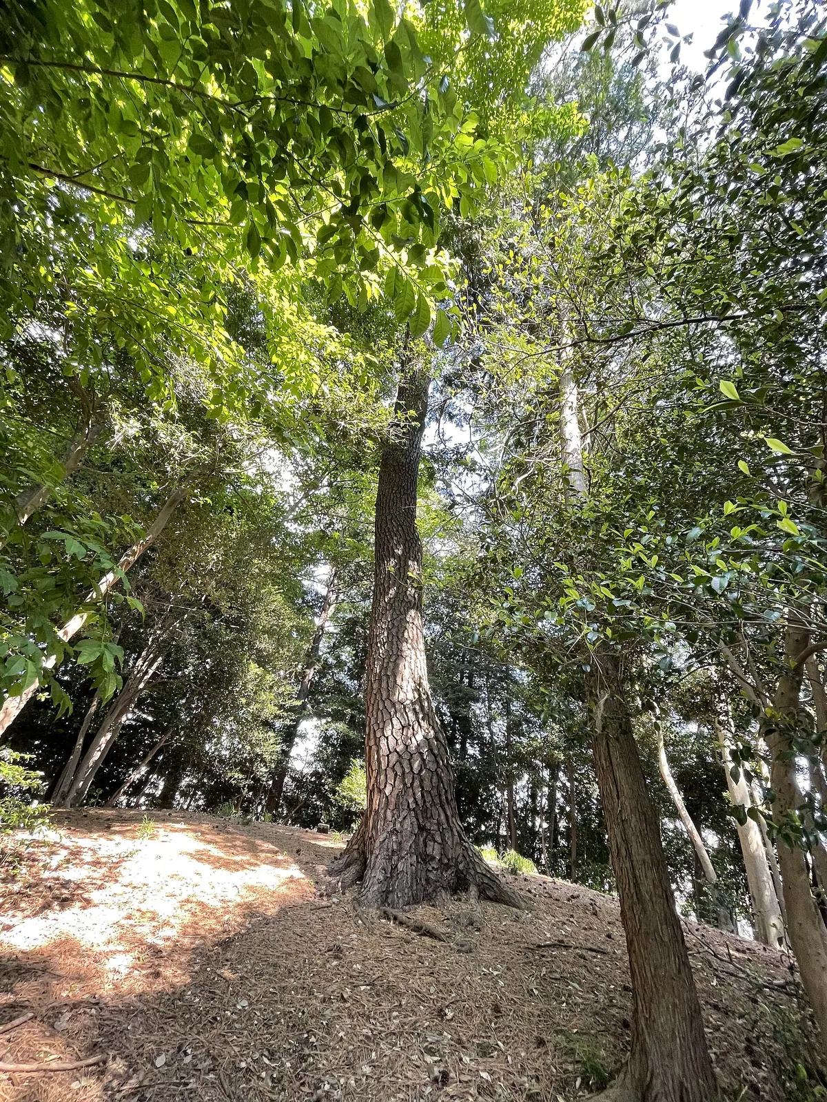 Kabutoduka Kofun
