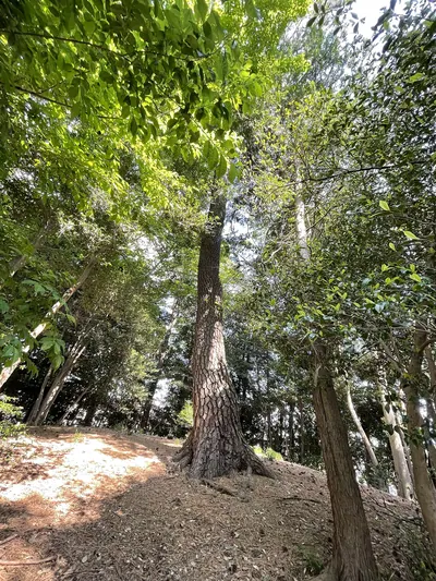 Kabutoduka Kofun