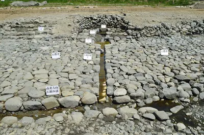Asuka Pond Garden Site