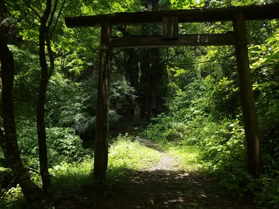 Mount Takao