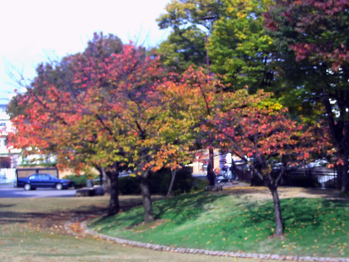 Kamisakabe-Nishi Park