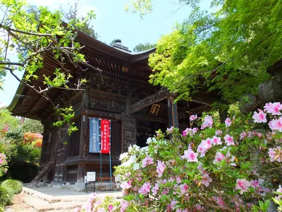 Iwanoue-dō Temple