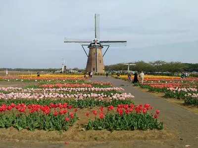 Sakura Furusato Square