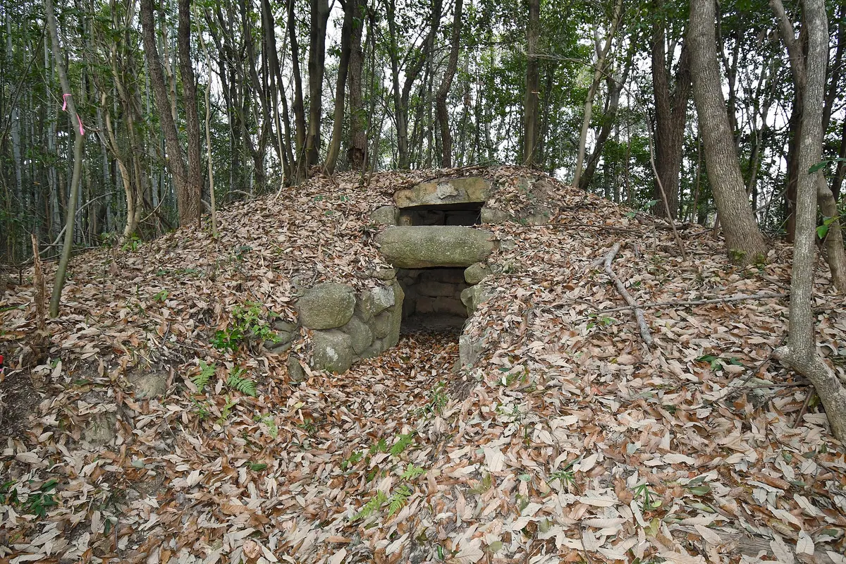 Midoriyama Kofun Cluster
