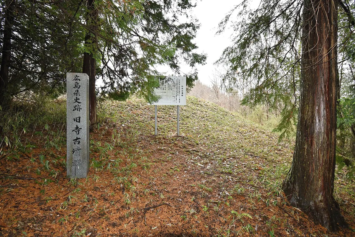 Furudera Kofun Cluster
