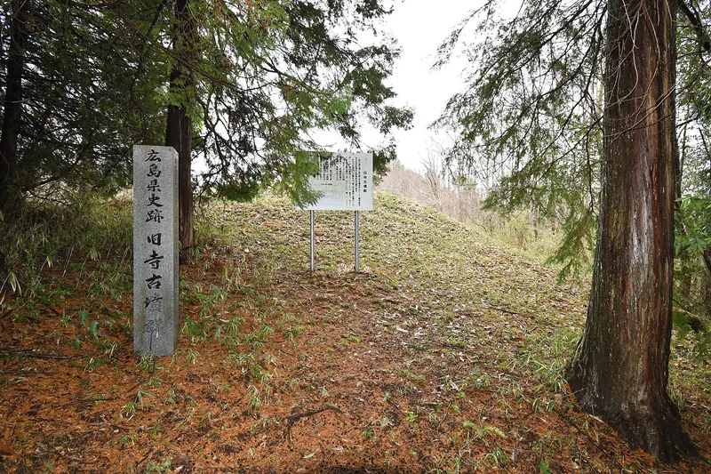 Furudera Kofun Cluster