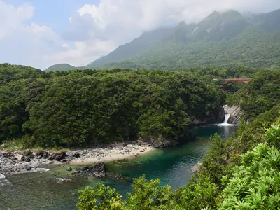 Yakushima Botanical Research Park
