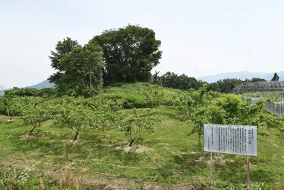 Hayashiguro Kofun Cluster