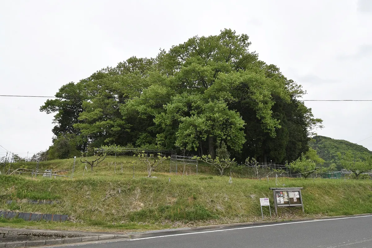 Takatsuki Chausuyama Kofun